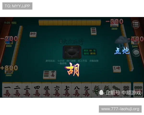 DBS麻将来了玩家评价与反馈，看看其他玩家都有哪些精彩体验
